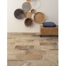 Гранитогрес Terre Nuove Sand
